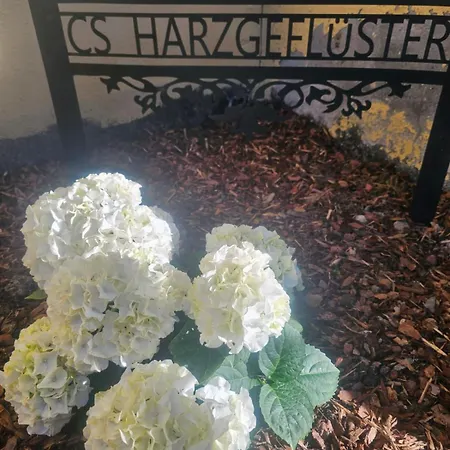 Hotel Harzgefluester * Thale