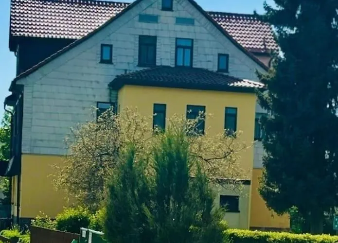 Cs Harzgefluester-das *