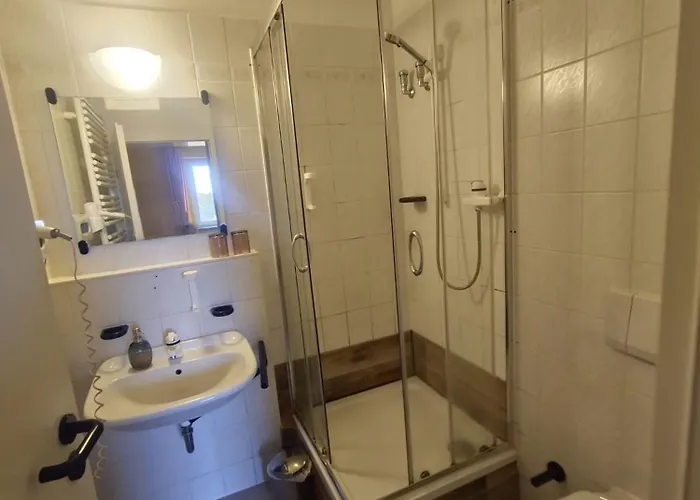 Cs Harzgefluester-das Hotell Thale