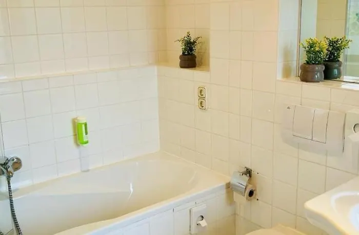 Cs Harzgefluester-das * Thale